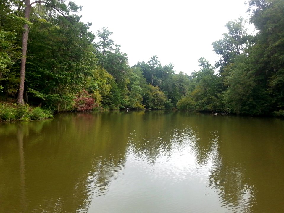 Water discolored after all the  heavy rain this week.