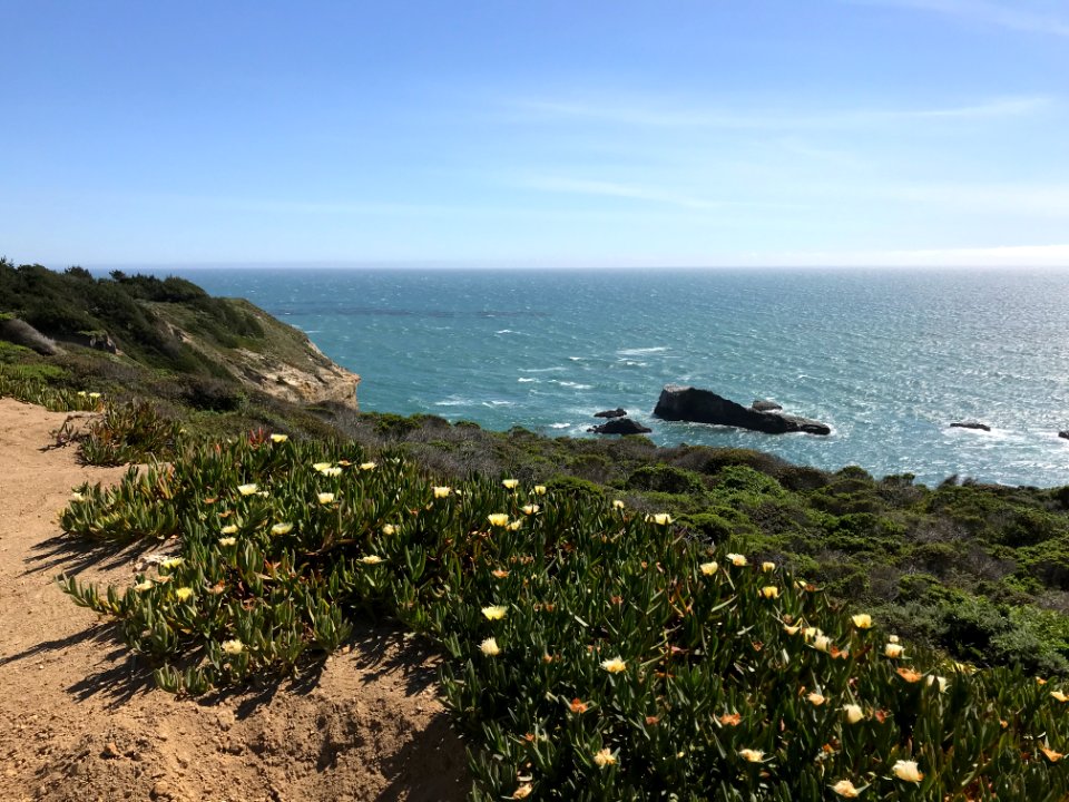 Pigeon Point, California