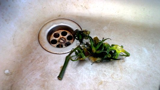 Dirty Sink Clipart CC0 Public Domain