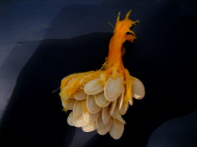 Pumpkin seeds - macro, no flash, hand shaken photo