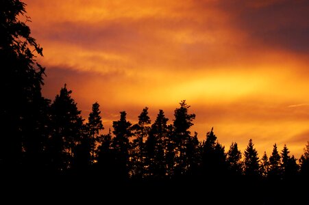 Nature sunset sweden photo