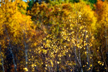 20191019-NRCS-LSC-2056