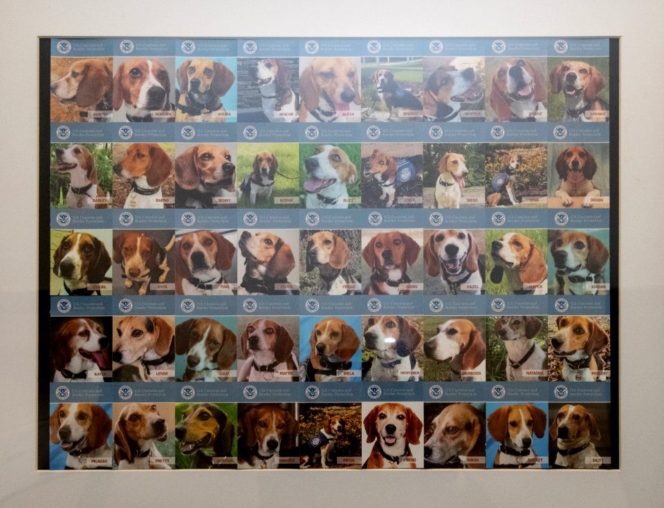20190405-OSEC-LSC-0158