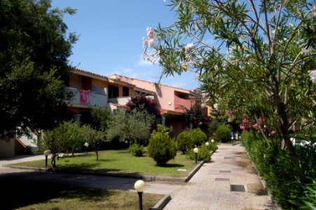 OASI 046.JPG