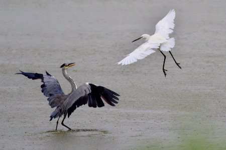 Under the Storm photo