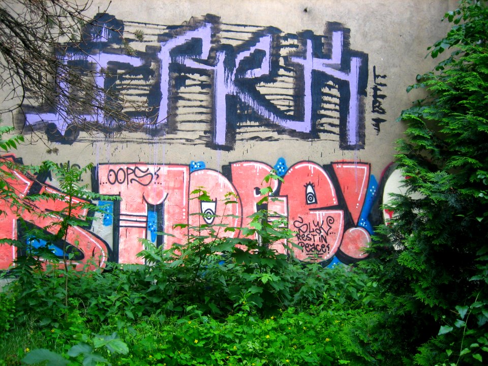 MORE Graffiti
