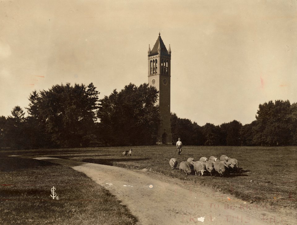 Campanile, Iowa State University, 1905
