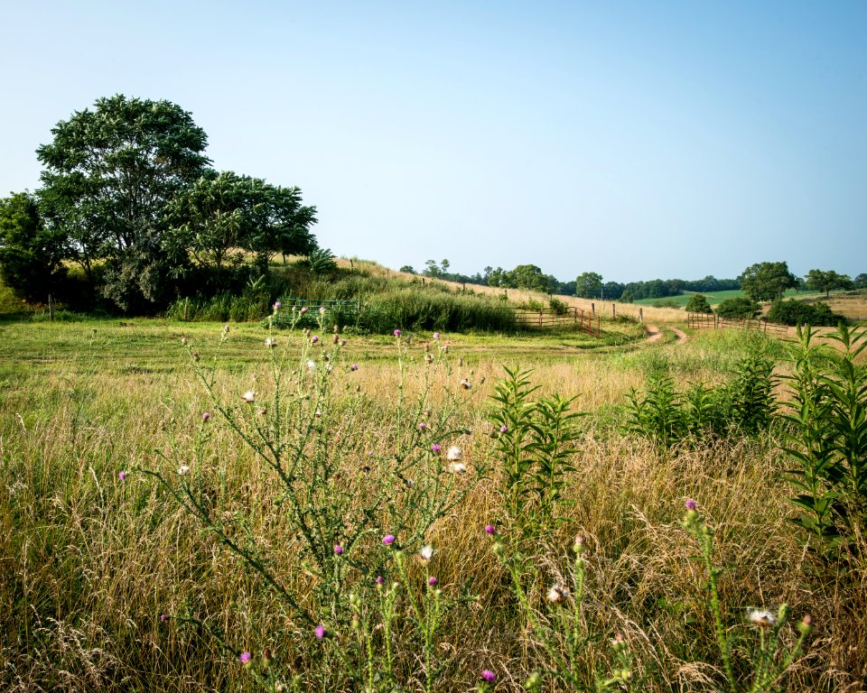 20150707-FFAS-LSC-0227