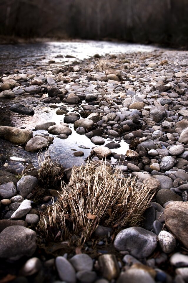 Stream creek nature