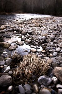 Stream creek nature