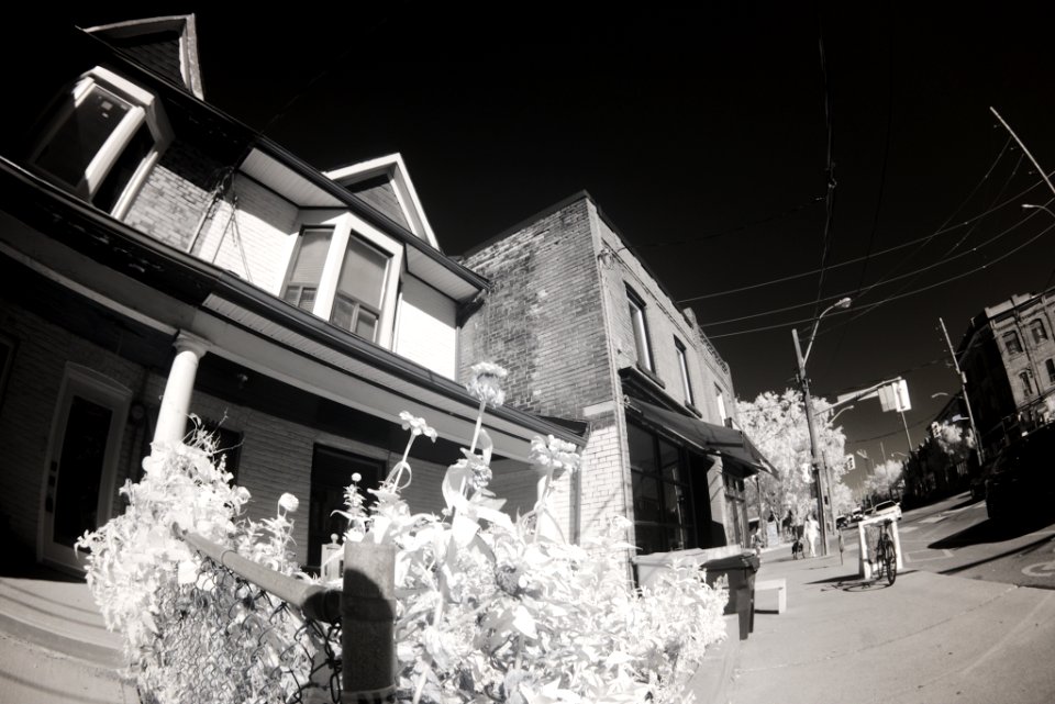 DSC 4050