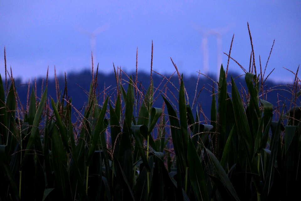 Dusk day-night boundary atmosphere