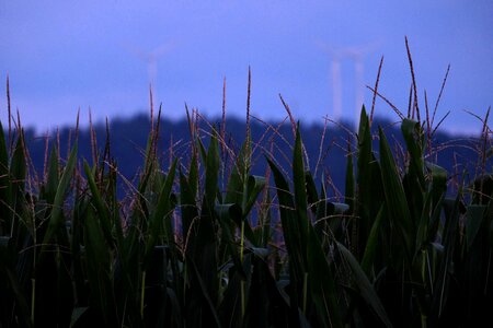 Dusk day-night boundary atmosphere