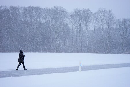 Way home winter storm snowflakes photo