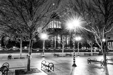 Winter's quiet