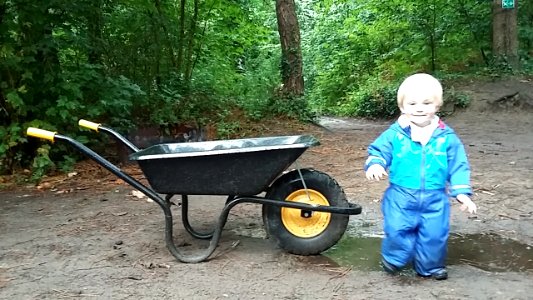 Wheelbarrows are one of the best toys!