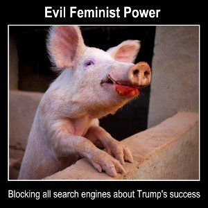 Evil Feminist Power photo
