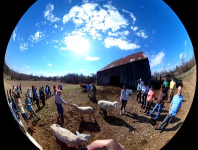 SOGGY HIGH USE AREA SOLUTIONS (SPHERICAL-VIEW)