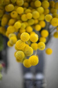 Balls round shape