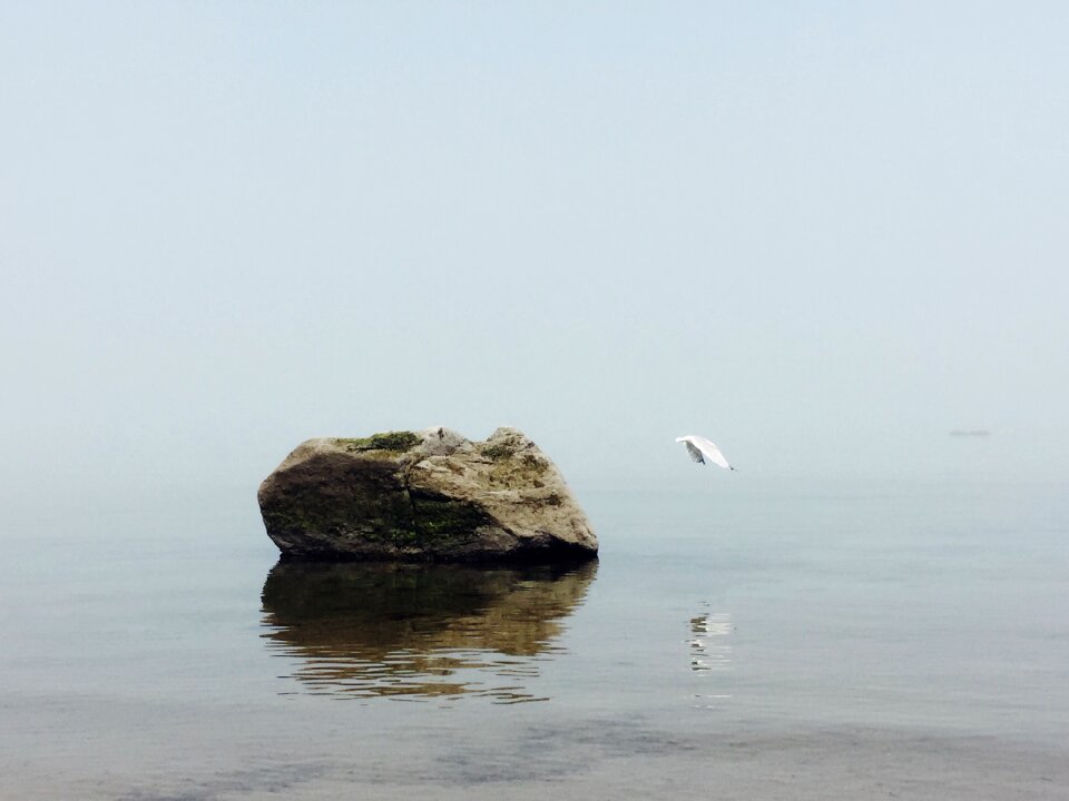 Sea nature water