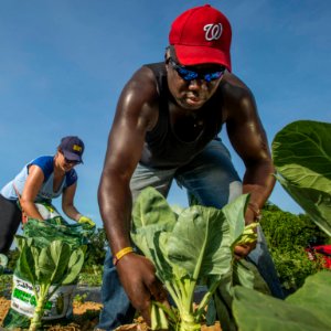 20170714-PJK-Gleaning-0333TONEDINSTAGRAM