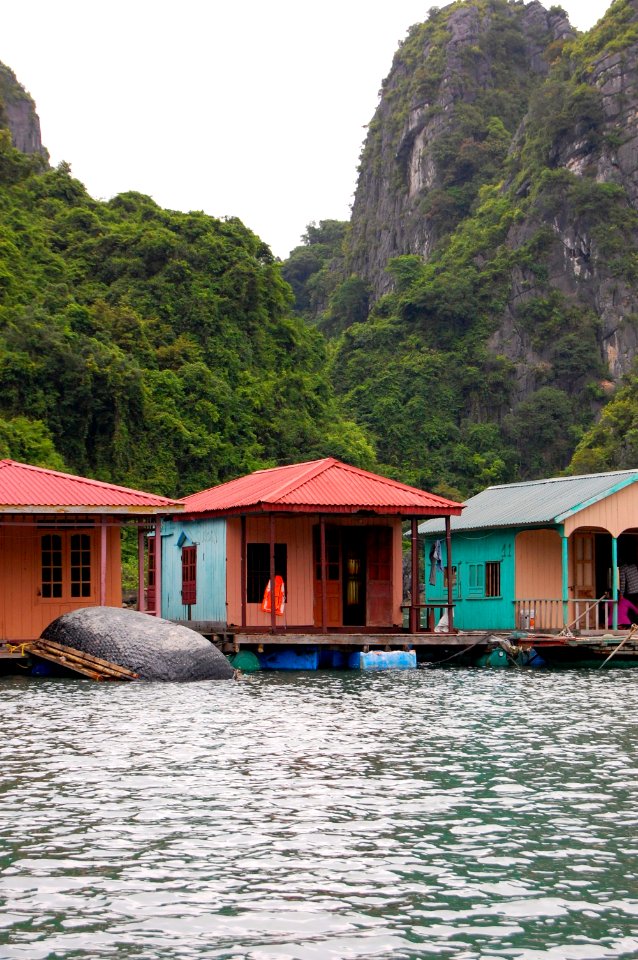 Vietnam 2015 (Hanoi, Halong Bay, Hoi-An)