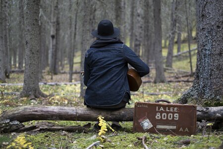 Music forest woods photo