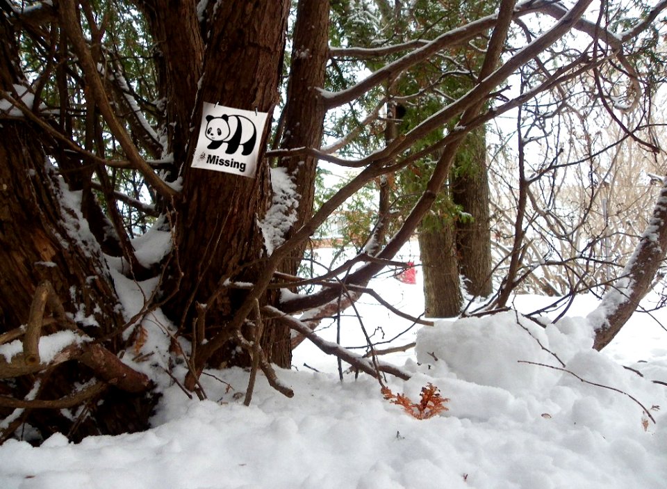 Flickr Panda is missing