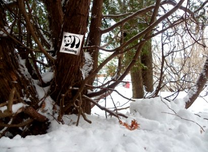 Flickr Panda is missing