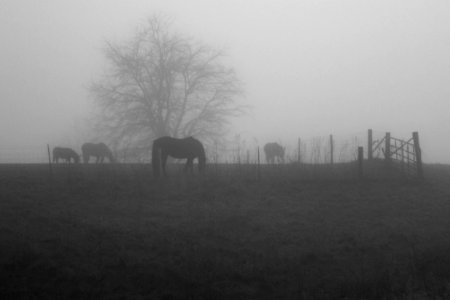 dewpoint
