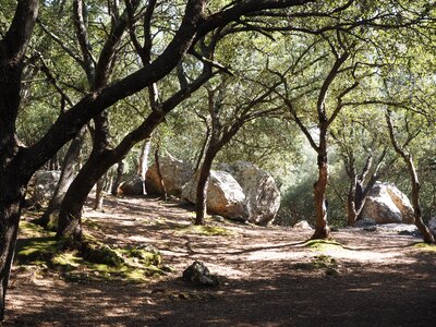 Fairytale haunting valley of orient