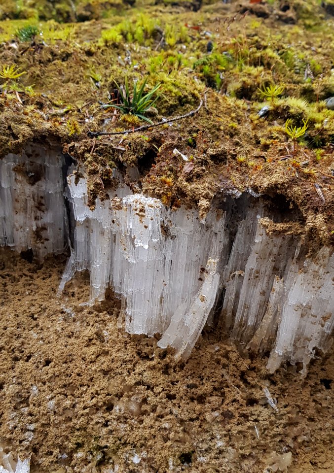 Feather Ice