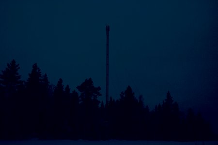 The Tower