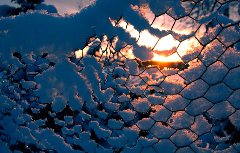 Light beyond the fence