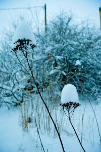Winter in helsinki-9.jpg
