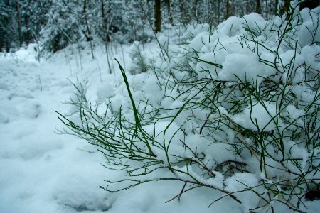 Winter in helsinki-14.jpg photo