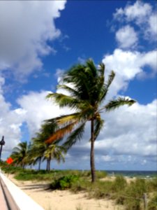 Fort Lauderdale Beach