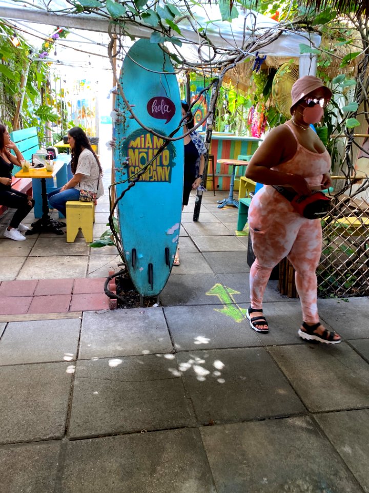 Wynnewood Art District, Miami 3/2021