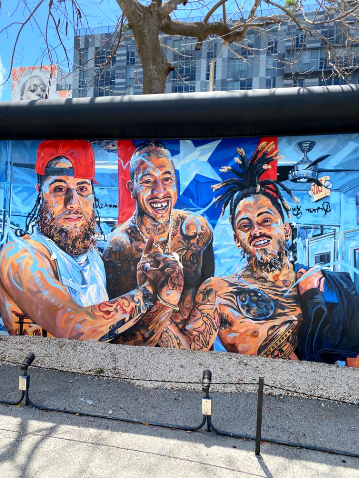 Wynnewood Art District, Miami 3/2021