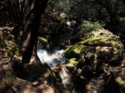 Mallorca valley of orient gorge