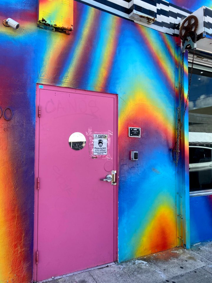 Wynnewood Art District, Miami 3/2021