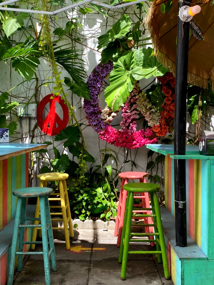 Wynnewood Art District, Miami 3/2021