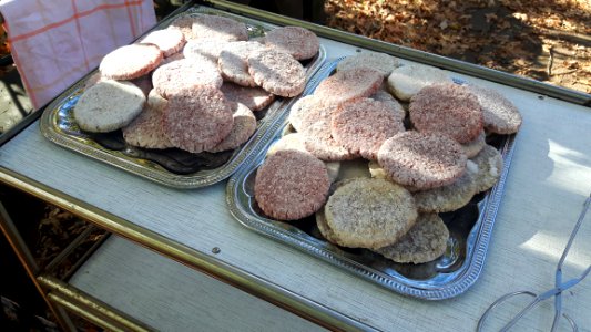 Frozen Burger Patties