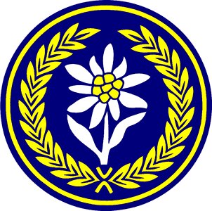 Badge membership military