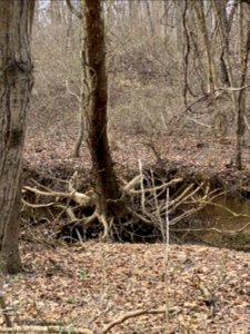 Lake Frank, Rockville MD
