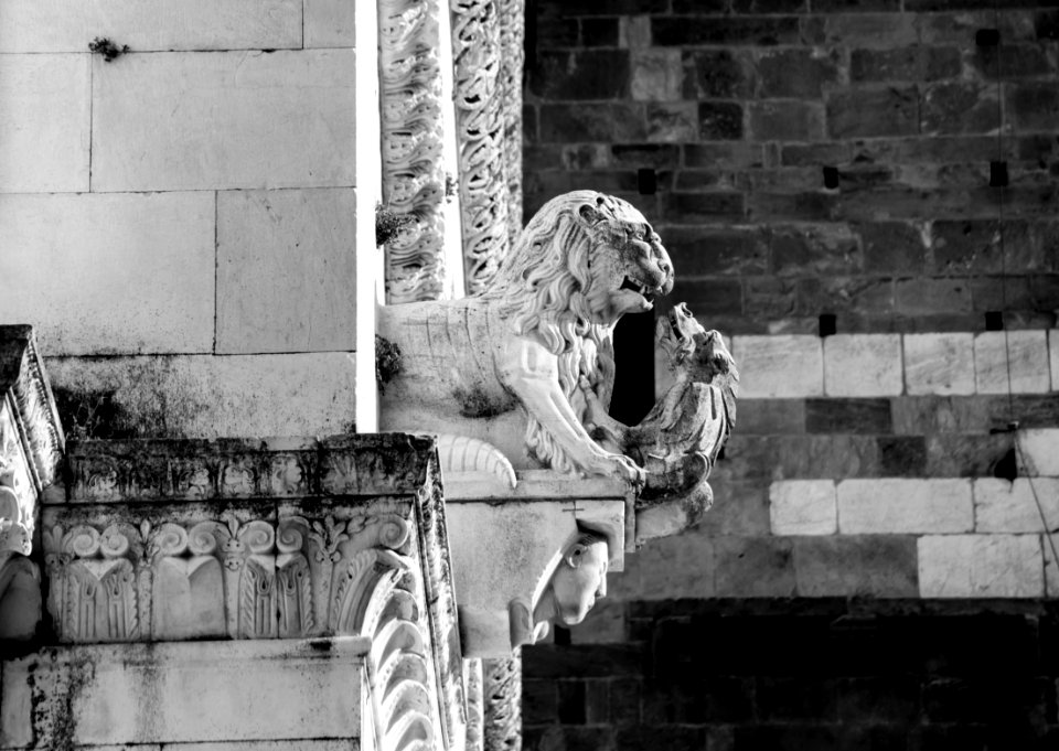 Sculpture lion, Lucca photo