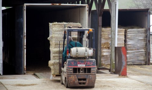 20110420-RD-LSC-0742
