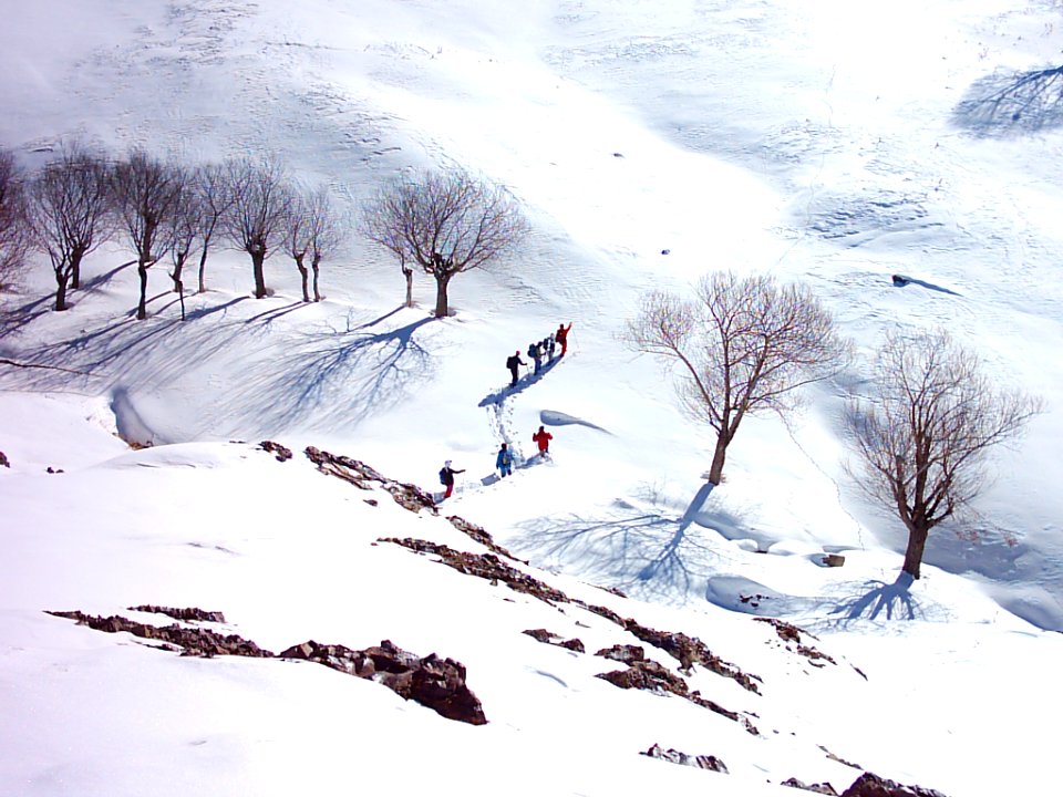 Pahneh Hesar (Pahneh Sar), Kan, Alburz