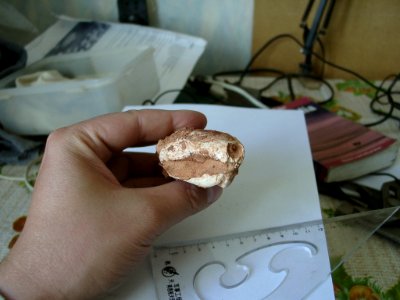 2003 08 03-005