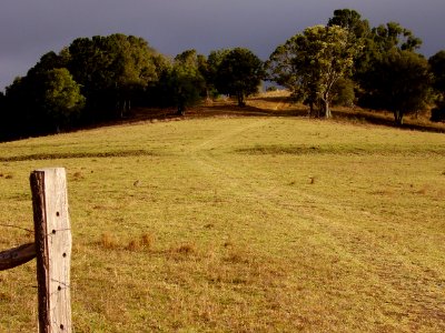 farm field photo